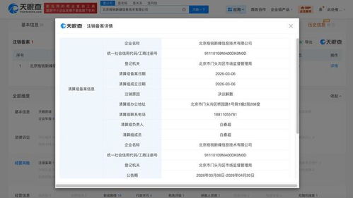 陈震关联公司拟注销 计算机系统集成服务的市场变迁与行业反思
